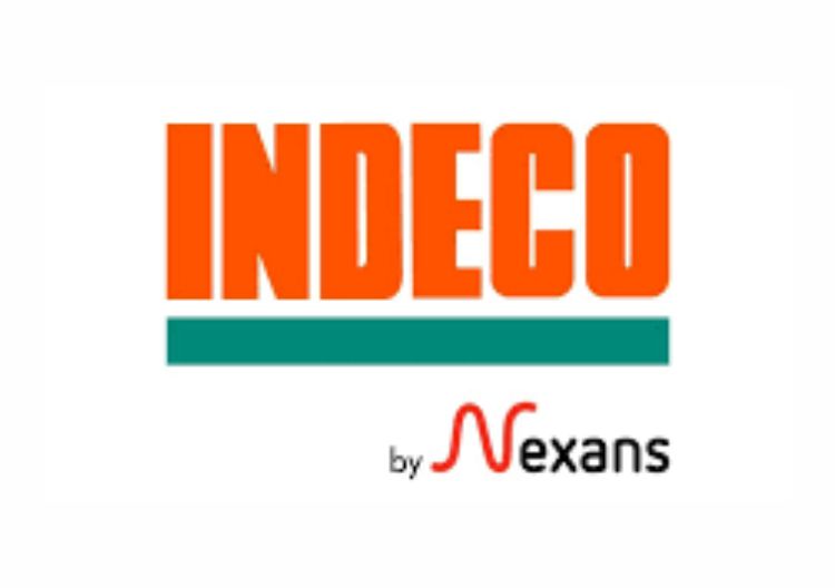 logo-7